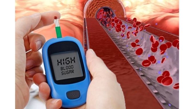 Bảo quản máy đo đường huyết Safe-Accu que thử và kim lấy máu
